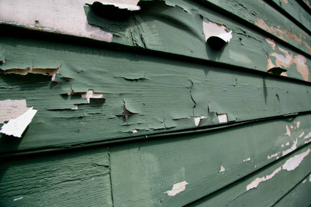 Professional Junk Removal in Violet, LA