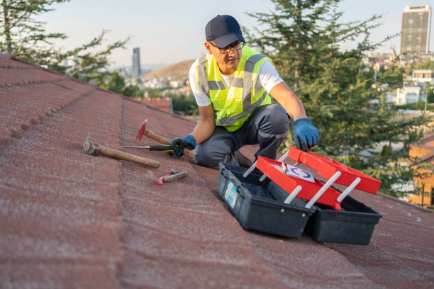 Best Shed Removal  in Violet, LA
